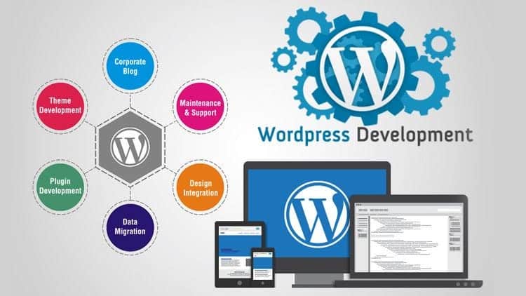 Professional developer providing custom WordPress services for business websites